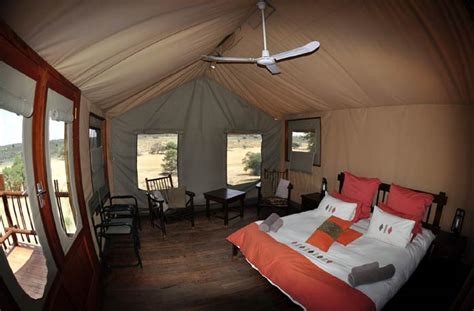 kgalagadi transfrontier park camps accommodation nature photography