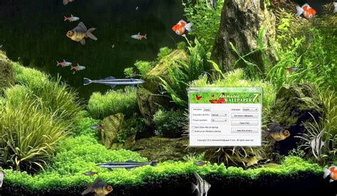 48 Animated Fish Aquarium Desktop Wallpapers On Wallpapersafari