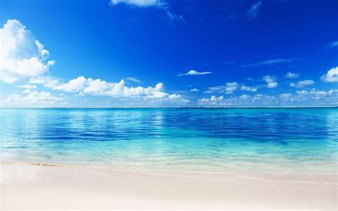 Fondos De Pantalla De Playas Del Caribe Fondosmil