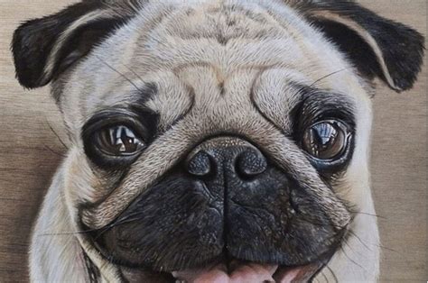 This Artist Creates The Most Realistic Animal Portraits Weve Ever Seen