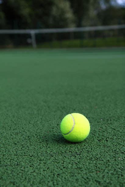 Tennis Ball Free Stock Photo Public Domain Pictures