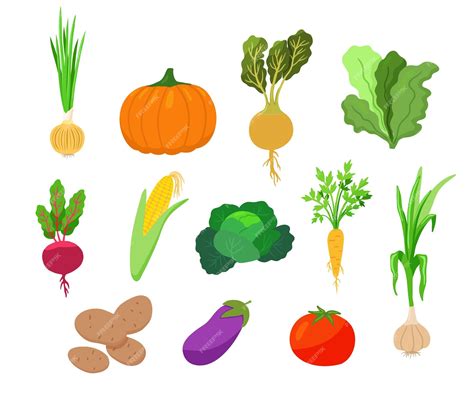 Conjunto De Verduras En Estilo De Dibujos Animados Tomate Ajo Calabaza