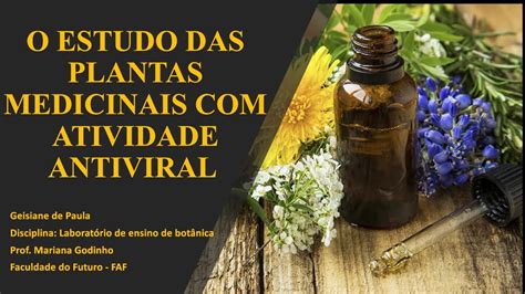 O Estudo Das Plantas Medicinais Atividade Antiviral YouTube