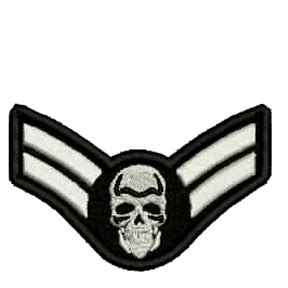 Black/White Skull Air Force Emblem Embroidered Patch | Embroidered patches, Patches, Embroidered
