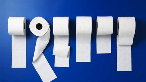 The 5 Best Toilet Papers Answerguide