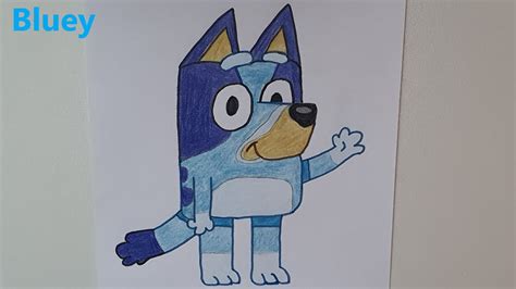 Bluey And Bingo Drawing Bluey Youtube
