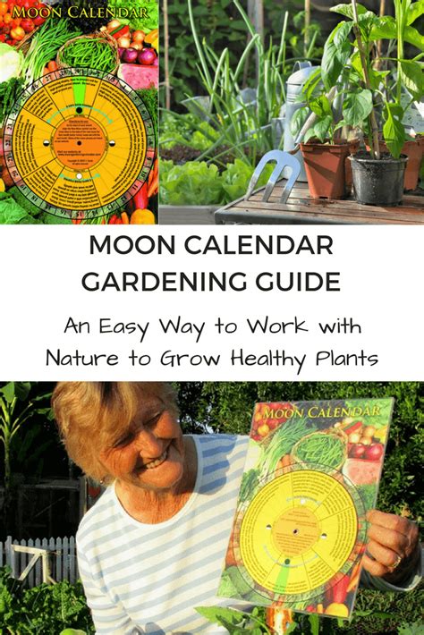 Lunar Calendar For Gardening