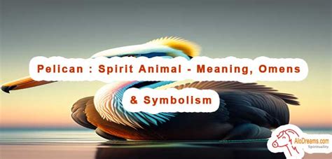 79 Pelican Spirit Animal Meaning Omens And Symbolism