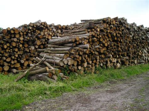 Lees eerst de algemene voorwaarden grondig door. Goedkoop haardhout kopen in Drenthe en Groningen