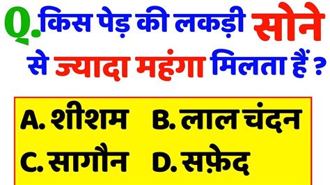 30 Most Brilliant Gk Questions With Answers Compilation Funny Ias Interview Questions Part 33