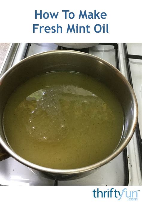 How To Make Fresh Mint Oil Thriftyfun