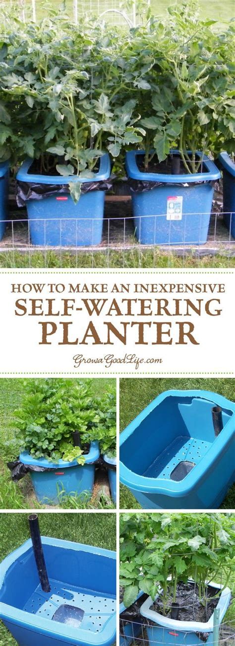 Build Your Own Self Watering Containers Self Watering Containers