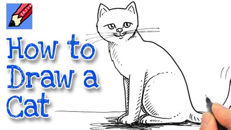 How To Draw A Cat Real Easy Youtube