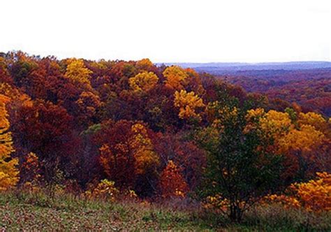 These 9 Places Have The Best Fall Foliage In Indiana