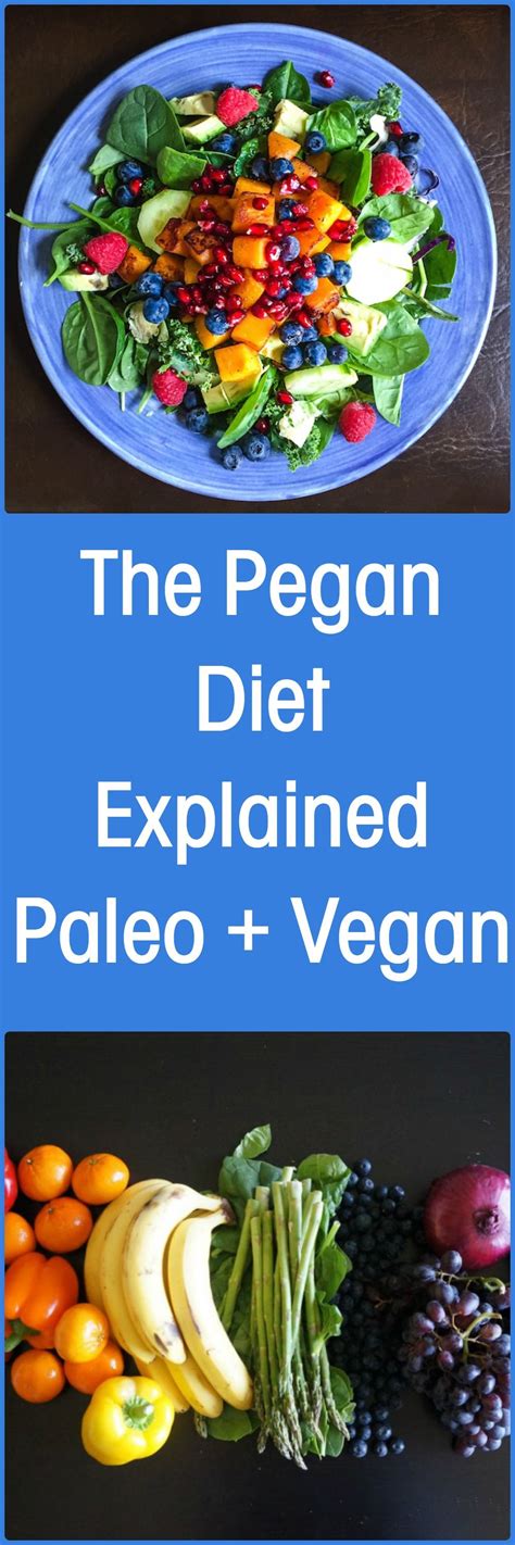 the pegan diet explained by s paleo recipes vegan paleo vegetarian recipes