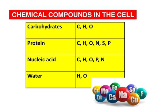 Biology Form 4 Chapter 4 Chemical Composition Of The Cell Part 1