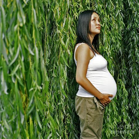 Pregnant Woman Photograph By Cecilia Magillscience Photo Library