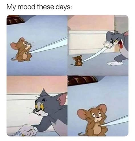 50 Funny Tom And Jerry Memes To Keep You Laughing