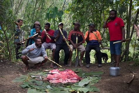 What Is A Pig Mumu Rocky Road Travel Papua New Guinea Tours