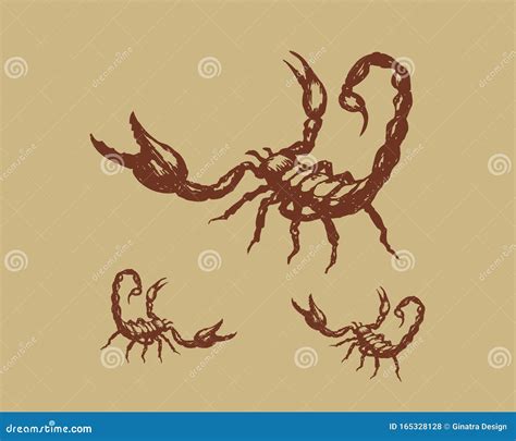 Dibujo Dibujado A Mano De Un Insecto Escorpión Ilustración Del Vector
