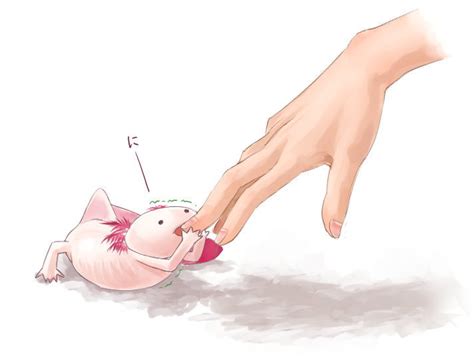 Nakashima Middle Earth Original Tagme Axolotl Biting Finger Biting Salamander Image