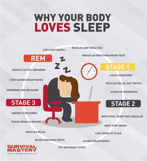How Much Sleep Do I Need Information To Keep You Healthy And Alert