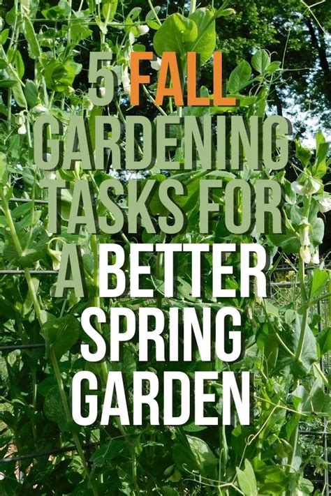 5 Fall Gardening Tasks For A Better Spring Garden Little Sprouts