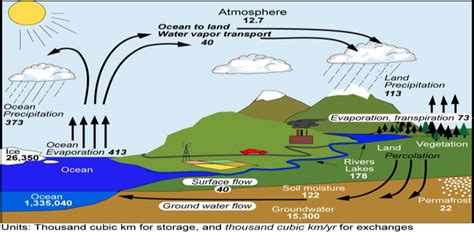 The Global Hydrological Cycle A Level Geography Edexcel Revision