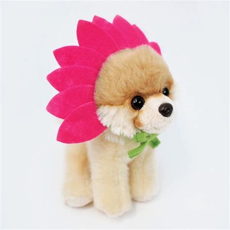 Gund Itty Bitty Boo Pomeranian Daisy Boo Garden Disguise