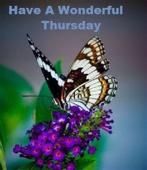 You can download thursday images and share with your friends. Pin on Rhonda