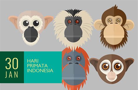 Hari Primata Indonesia Greenersco
