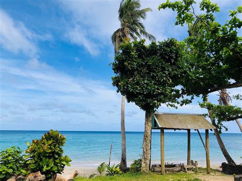 Matana Beach Resort Dive Kadavu Au205 2022 Prices And Reviews Fiji