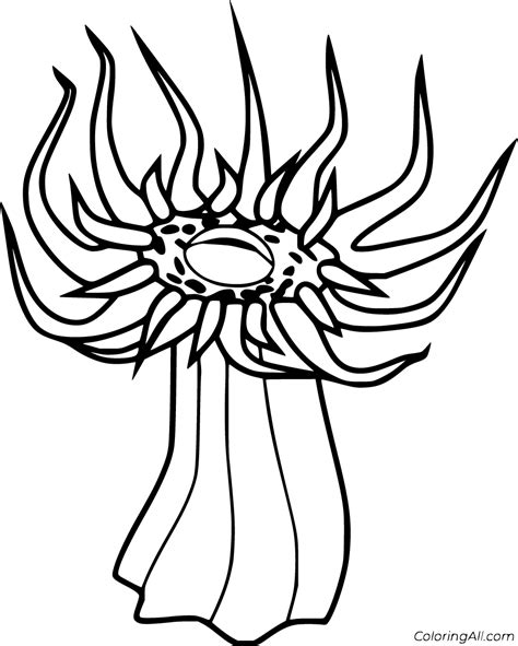 11 Free Printable Sea Anemone Coloring Pages In Vector Format Easy To