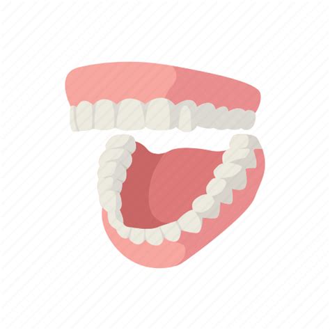 Dentistry, denture, false teeth, oral, oral care, teeth, tooth icon png image