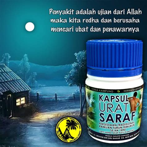 Need to translate urat saraf from indonesian? Home | Kapsul URAT SARAF Selatan