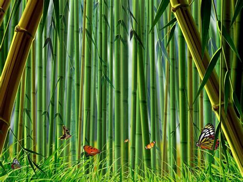Wallpapers Bamboo Wallpaper Cave