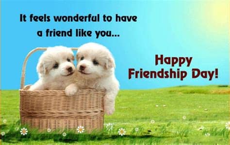 I wasn't planning on loving you but i'm glad i did. 50 Happy Friendship Day WhatsApp Status Quotes Messages ...