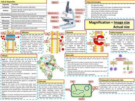 Ks4 Aqa Gcse Biology Science Cells Revision Knowledge Organiser