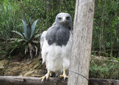 Visiting Amaru Zoo In Cuenca Ecuador Animals Photos Videos