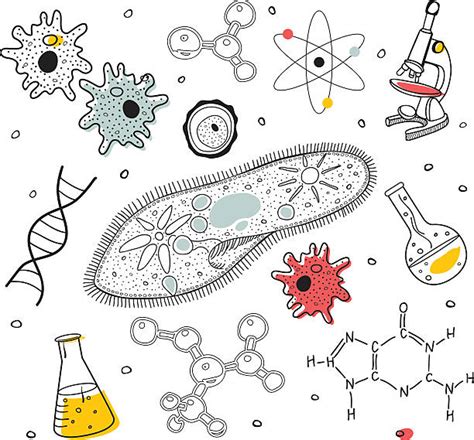 Drawing Of The Biochemistry Illustrations Royalty Free Vector Graphics