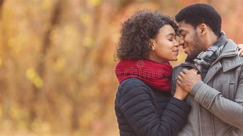 Loving African American Couple In Love Hugging In Park Stock Image