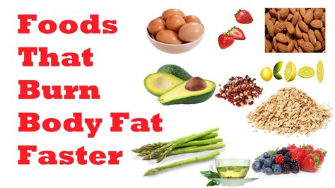 The Best Fat Burning Foods For Weight Loss Myupdate Studio
