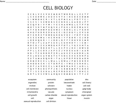 Cell Biology Word Search Wordmint Word Search Printable