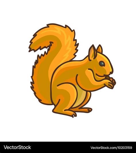 Red Squirrel Cartoon Drawing Royalty Free Vector Image