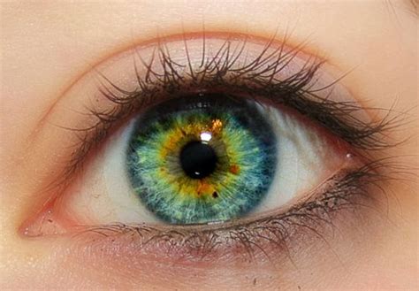 Central Heterochromia Blue Green Its Not Iridescent But It Looks Like