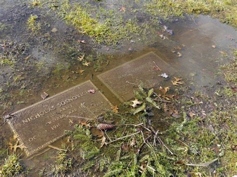 Underwater Veterans Graves At Forest Green Park Cemetery