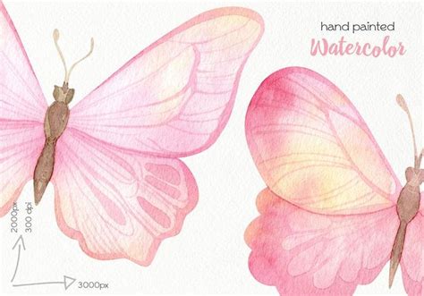 Acuarela Butterfly Clipart Mariposas Rosadas Archivos Png