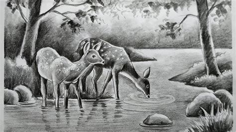 Deer Easy Forest Pencil Drawing Img Cahoots