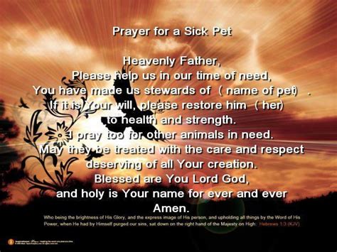 We are the puppy (pets) prayer chain. Animal Reiki - The Value to Pets & Owners | Sick pets ...