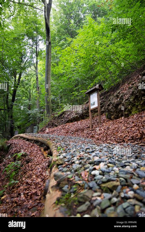 Path In The Italian Forest Stock Photo Alamy